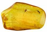 Two Fossil Flies (Diptera) In Baltic Amber #109384-3